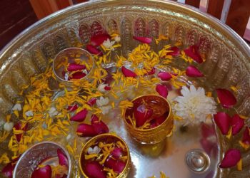 341166121_1518233375330490_1987068036013111879_n